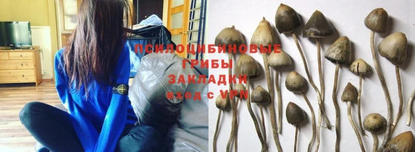 спиды Верхний Тагил