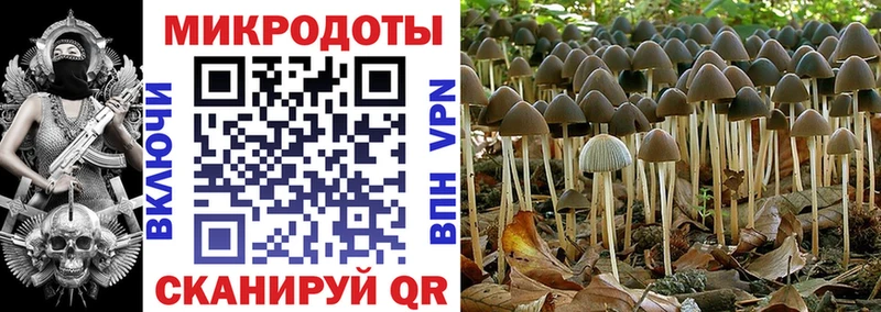 Галлюциногенные грибы Psilocybe  Донецк 